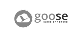 logo Partner goose